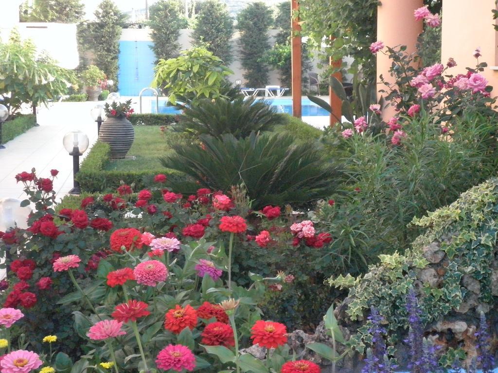 Golden Rose Hotel